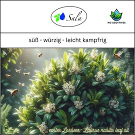 Sala Laurel Leaf Oil Laurel Oil Aroma Essential Oil for Consumption Natural Organic 30 ml