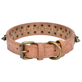 AOLOVE Mushrooms - Collares ajustables de piel sintética con tachuelas para gatos y cachorros (cuello de 20,8 a 26,9 cm), color marrón