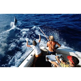 Siasky Siasky Fishing Swivels, 200pcs Barrel Swivels Fishing Stainless Steel Swivel Fishing for Saltwater Freshwater Fishing