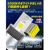 Briteye LED Headlight, Car Inspection Compatible, 6500K, White, Fanless, DC12,