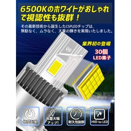 Briteye LED Headlight, Car Inspection Compatible, 6500K, White, Fanless, DC12, Small, Compact, Set of 2 (D4S LED)