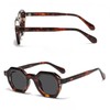 WDZAYXC Retro Chunky Hexagon Sunglasses for Men and Women Trendy