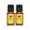 Banana Fragrance Oil - Premium Grade Scented Oil - 10ml