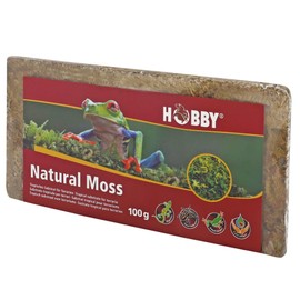 Dohse Aquaristik Hobby 34174 Natural Moss