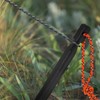 TIXIPEM 7IN Tent Stakes [12PCS] - Aluminum Ground Pegs with