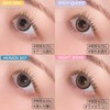 【メーカー公式店舗】[ せいせい (田向星華) プロデュース&イメージモデルカラコン ] RESAY(リセイ) 1DAY 10枚入り ナイトスパーク [-4.75]