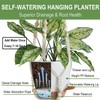 Bouqlife Hanging Planters with Macrame Plant Hangers for Indoor Outdoor