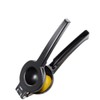Lemon Squeezer Lemon Duo