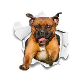 Winston & Bear 3D Dog Stickers - 2 Pack - Super Staffy! Brown Staffordshire Terrier Sticker for Wall, Fridge, Toilet and More - Retail Packaged Staffordshire Terrier