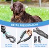 BAAPET 2/4/5/6 FT Dog Leash with Comfortable Padded Handle and