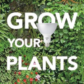 NorbBOTANIC Plant Light. Premium Indoor Grow Light with Full Spectrum Light. LED Light Bulb Mimics Sun with Powerful 1350 Lumens. “Grow Right Under White” Better than Purple Grow Lights. 16W 15 Degree