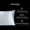 Hush Silk Pillowcases Pure Mulberry Silk - Anti-Aging, Wrinkle Prevention