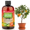 Premium Liquid Citrus Tree Plant Fertilizer - 3-1-2 Concentrate for