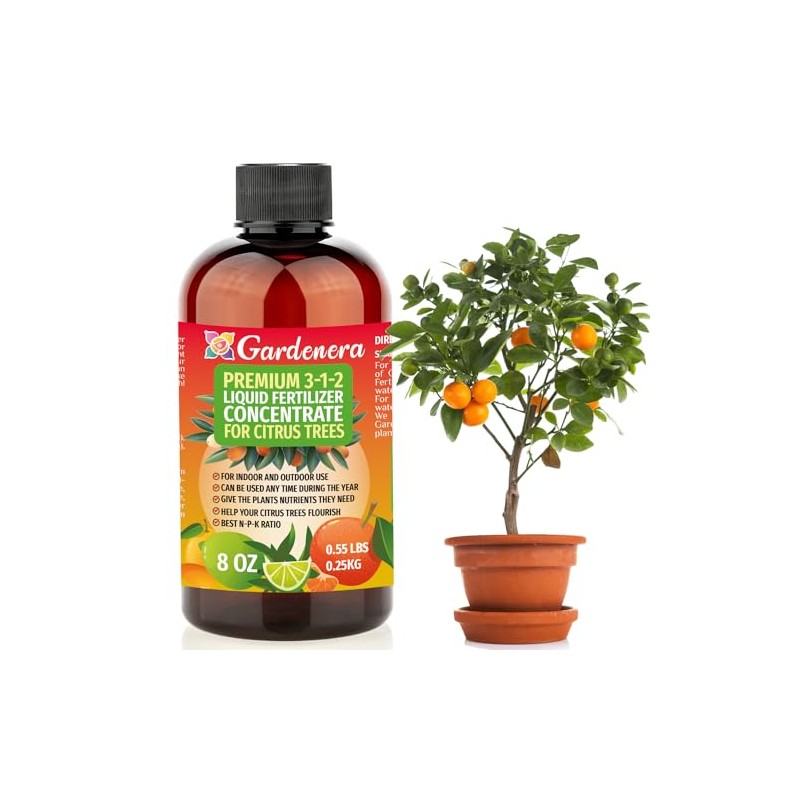 Premium Liquid Citrus Tree Plant Fertilizer - 3-1-2 Concentrate for