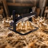 UIQELYS Chick Brooder Heat Plate, Adjustable Height, Safe & Energy-Efficient