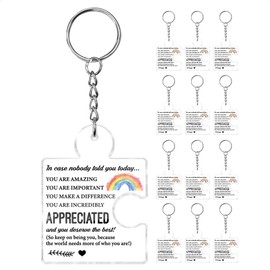 Inspirational Gift Appreciation Gifts Bulk for Coworkers Employees, 12 Pcs Thank You Gifts for Team Staff Teachers Nurse Mentor Work Bestie Friends Motivational Office Acrylic Puzzle Piece Keychains