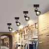 SEEBLEN 2-Light Track Light Fixtures, Adjustable Ceiling/Wall Mount, Industrial Black