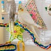 QERUTK 80cm L Parrot Cotton Rope, Parrot Perches, Parrot Stand,
