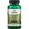 Swanson Japanese Ashitaba - Full Spectrum - Natural Formula Health