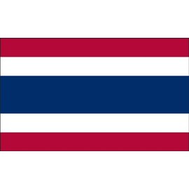 Valley Forge Flag 2-Foot by 3-Foot Nylon Thailand Flag