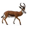 CollectA Springbok