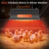 Chtoocy 250W Bulb Repalcement -Heater for 30 Chicks Or Ducklings,7.86ft
