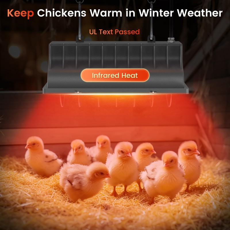 Chtoocy 250W Bulb Repalcement -Heater for 30 Chicks Or Ducklings,7.86ft