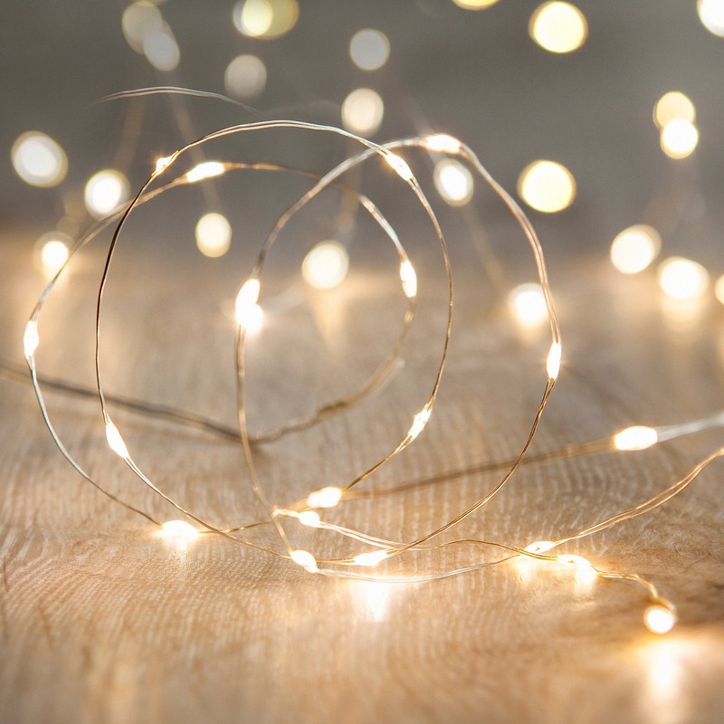 Lights4fun Indoor String Fairy Lights with 100 Warm White Micro