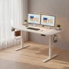 48*24 Inch Electric Height Adjustable Desk,Standing Desk , Computer Desk