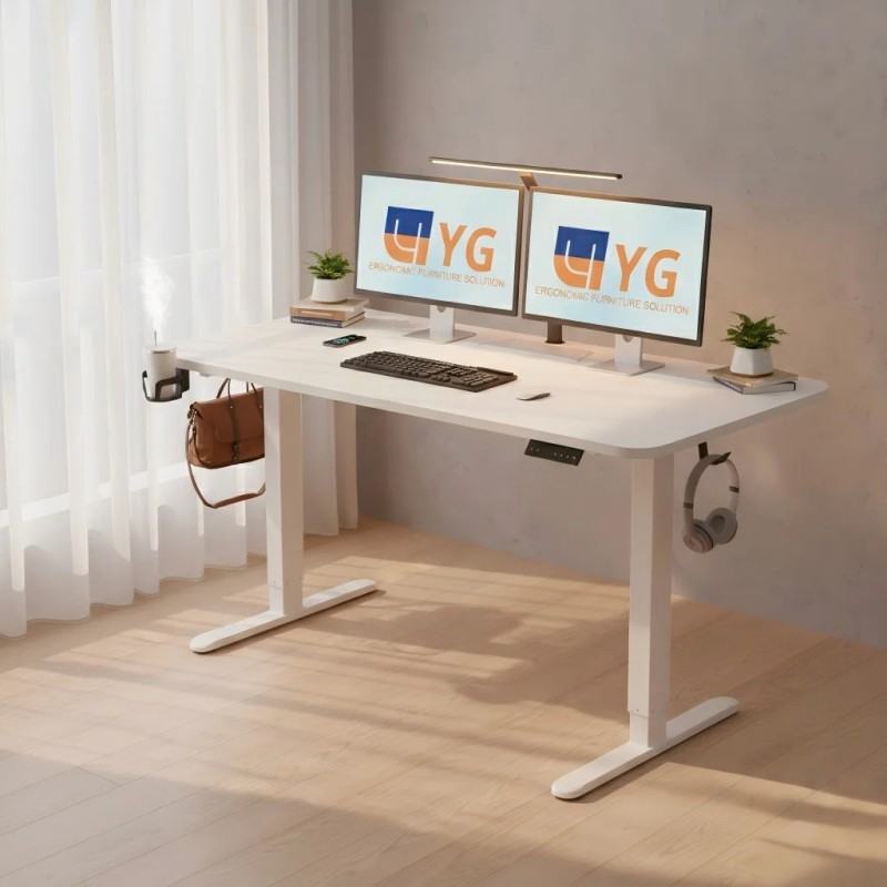48*24 Inch Electric Height Adjustable Desk,Standing Desk , Computer Desk