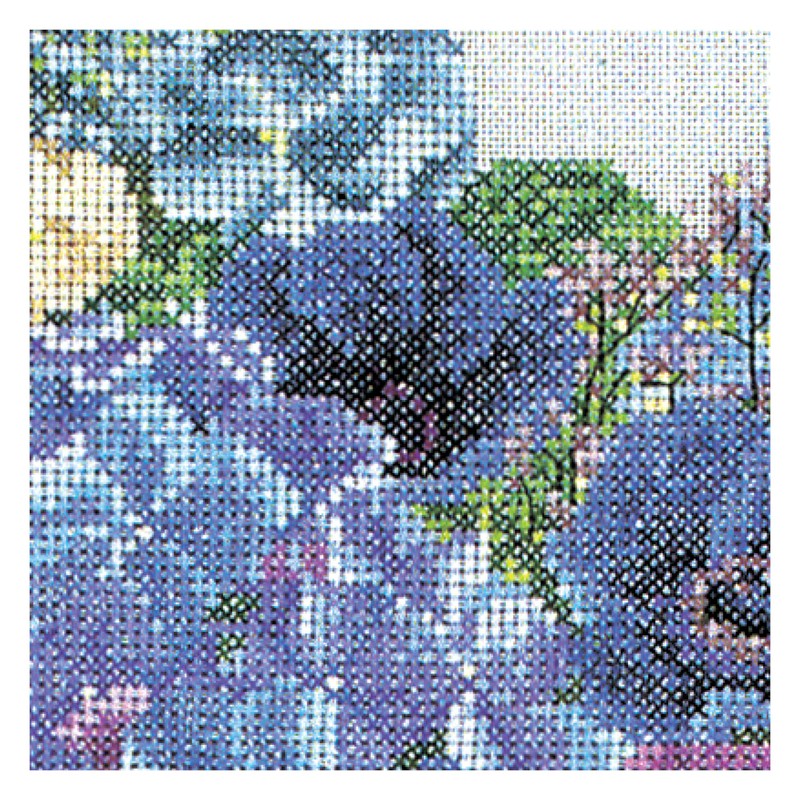 Thea Gouverneur Hydrangea-Anemone On Aida Cross Stitch Kit-14.5 x 16.5-inch
