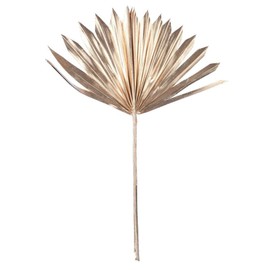 Vickerman 720110-13.75-19.5" Metll Gld Palm Sun Spr 12/bg (H7PPS250) Dried and Preserved Palms