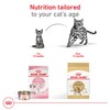 Royal Canin Feline Breed Nutrition Bengal Adult Dry Cat Food,