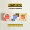 Twinings Blood Orange, Cranberry & Pomegranate Fruit Tea, 80 Tea