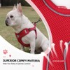 UNA MASCOTA Pechera Arnés Ajustable Triangulo Perros Raza Chica Mediana
