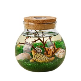 Saim 4.33 Inch Glass Terrarium with LED Light & Cork Lid, Transparent Tabletop Glass Planter Jar for Succulent, Hydroponic Plants, Air Plants - DIY Water Planting, Home Office Decoration Crafts