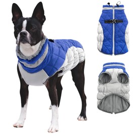 CITÉTOILE Hundemantel für Kleine Hunde,Hundemantel Winter mit Geschirr, Warme Hundejacke, Hundemantel Wasserdicht mit Fleece Gefütterte, Winddichtes Reflektierend Winterweste für Dackel, Bulldogge