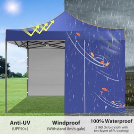 HOTEEL 10x10 Pop Up Canopy Tent, Heavy Duty Easy Setup Canopy with Sidewalls Waterproof & UPF 50+, Commercial Instant Craft Fair Tent for Party, Event, Vendor, Farmer Market (Blue)