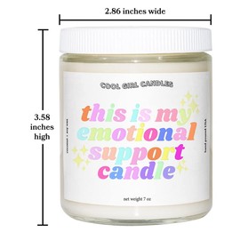 Cool Girl Candles | This Is My Emotional Support Candle Coconut + Hibiscus Scented Candle Preppy Pink Aesthetic Room Decor Pastel Danish Y2K Gift For Sister Tiktok viral best friend bff bestie for her