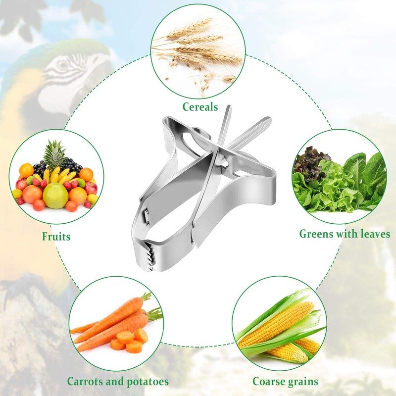 Parrots Fruit Vegetable Feeder Clip 5 Pieces Bird Feeder Device