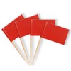 Mflagperft Blank Toothpick Flags Labeling Marking Flag Small Mini Stick