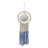 Beachcombers Scallop Shell Blue Wall Hanging Display