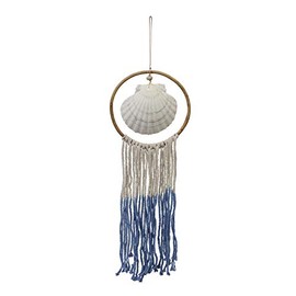 Beachcombers Scallop Shell Blue Wall Hanging Display
