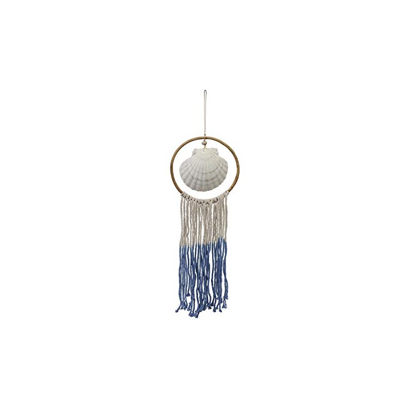Beachcombers Scallop Shell Blue Wall Hanging Display