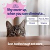 Sunny & Honey Pet Stain & Odor Miracle - 32