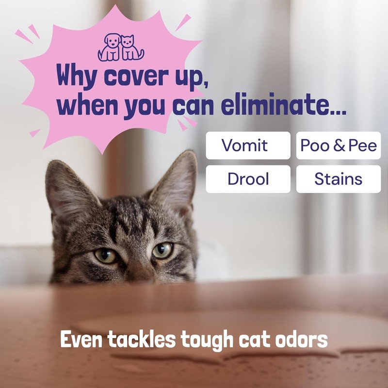 Sunny & Honey Pet Stain & Odor Miracle - 32