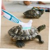 2pcs Turtle Shell Cleaning Brush Glass Bottle Bristle Brush, Bristle
