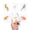 Laurence King Animal Family Match: A Matching Memory Game