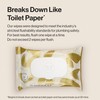 The Honest Company Flushable Wipes for Sensitive Skin | Fragrance