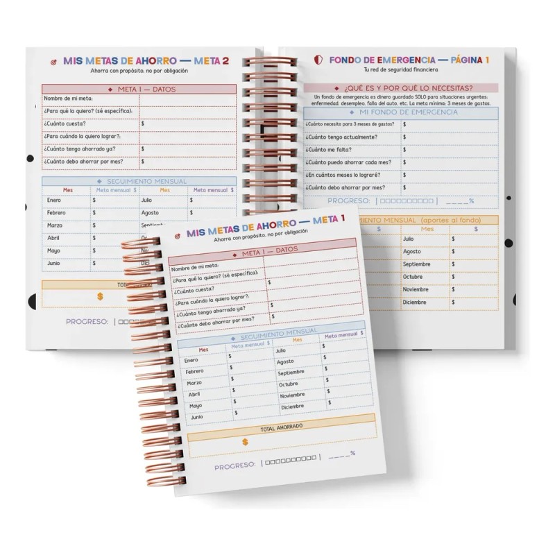 Libreta Organigastos Anual| Control De Gastos Jack And Sally